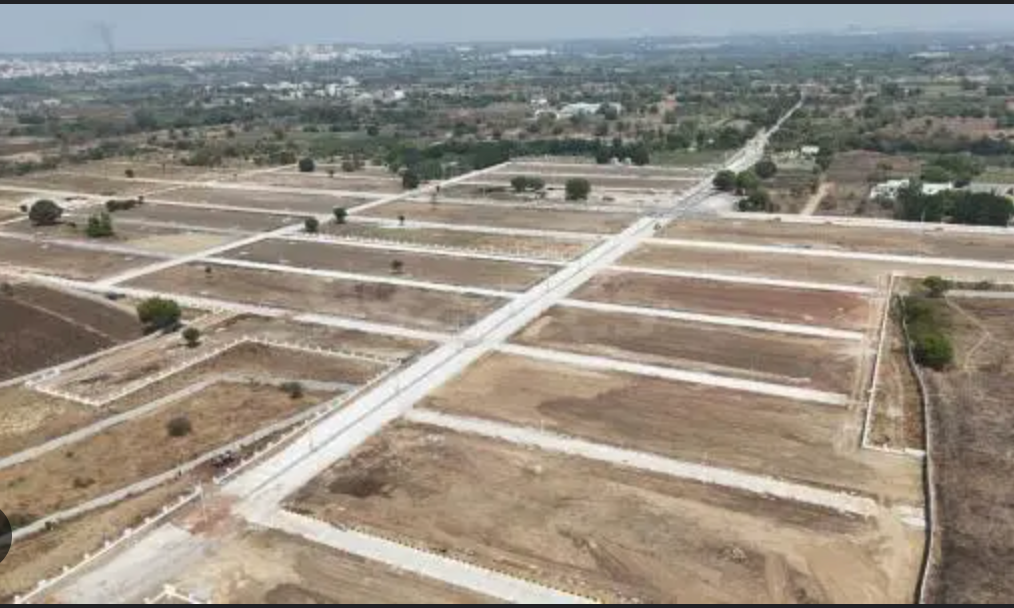 Farm near Sangareddy